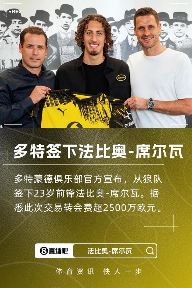 多特新援法比奧，2500萬(wàn)歐加盟，球隊(duì)實(shí)力強(qiáng)，有望歐冠奪冠。